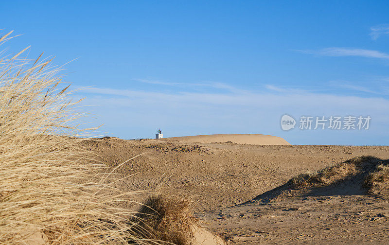 海滨山上Rubjerg Knude灯塔的田园诗般的景色